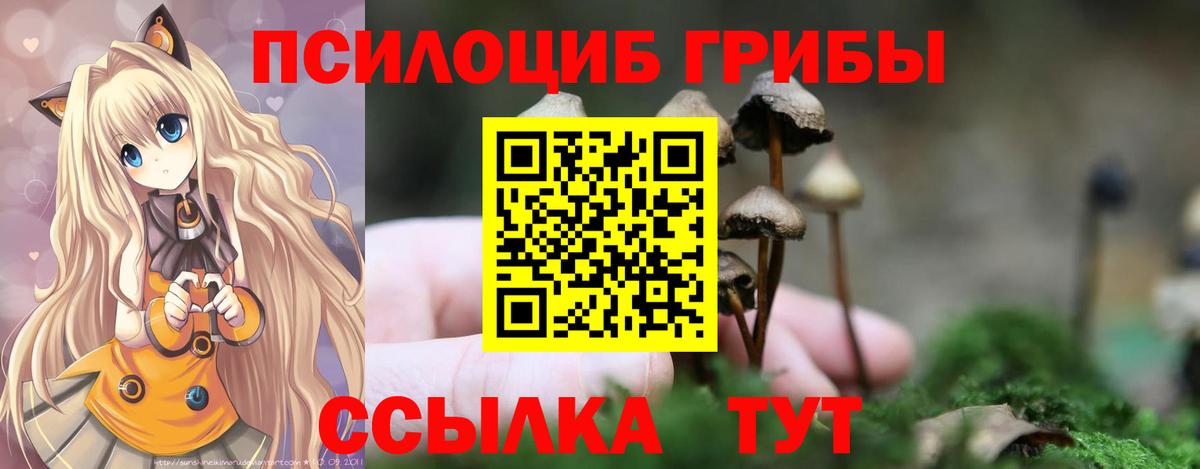 Галлюциногенные грибы Psilocybine cubensis Алексин